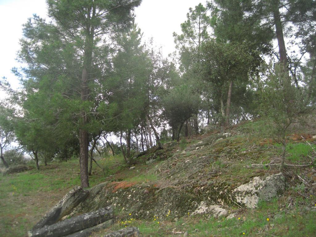 Agroturismo Quinta Santa Isabel